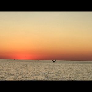 Meet your Posher, Ilona